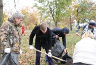 Висаджування вербової алеї