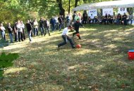 «Версія» провела партнерський семінар «Серверні і блейд системи НР на базі AMD»